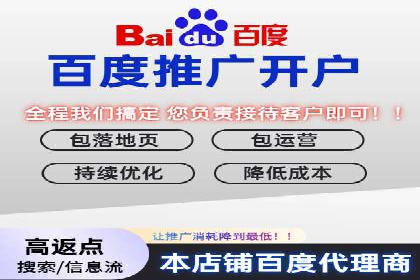 百度推广公司案例分析：精准定位，助力企业精准营销